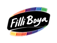 Filli boya